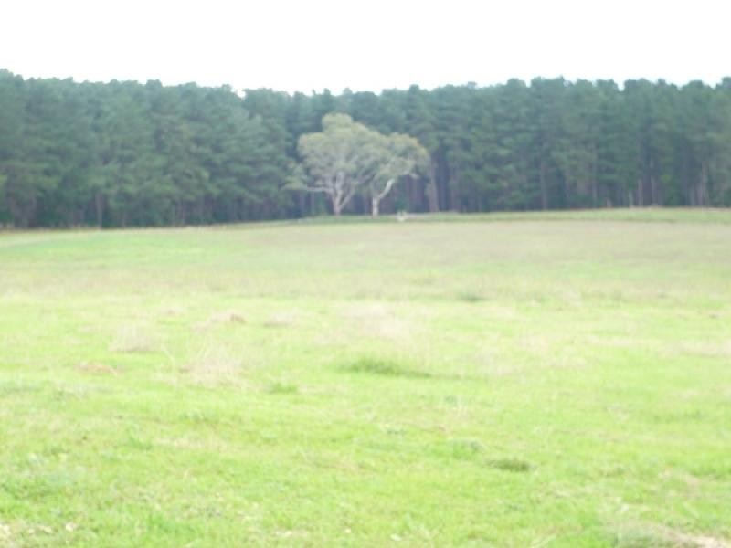 Sect 667 Nene Valley Rd, Kongorong SA 5291