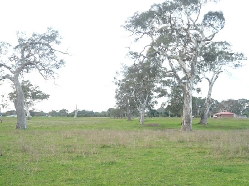 Block 93 Government Road, Kalangadoo SA 5278