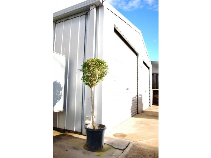 92 Acacia Street, Mount Gambier SA 5290