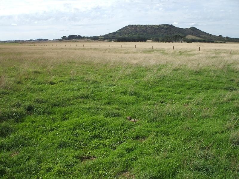 Mount Schank SA 5291