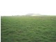 Mount Schank SA 5291