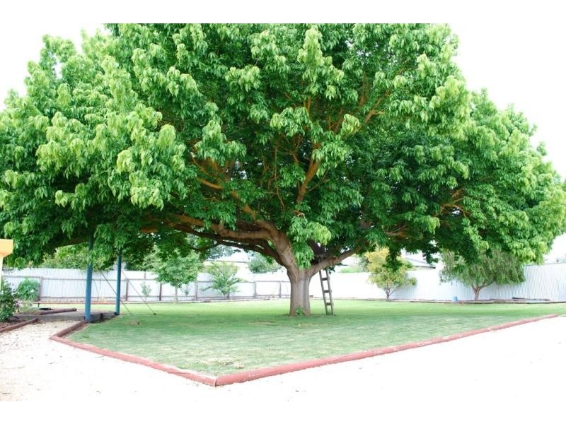 58 Bay Road, Mount Gambier SA 5290