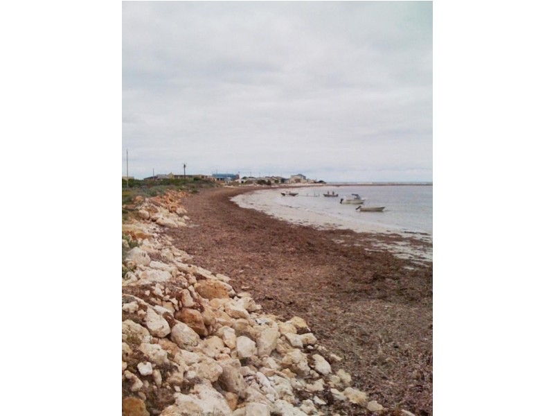 Lot 41 Pelican Point Road, Pelican Point SA 5291