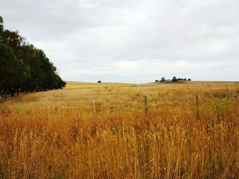 Lot 100 Spain Road, Suttontown SA 5291