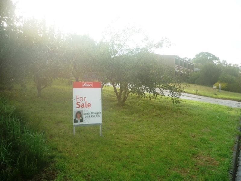 20 Paltridge Street, Mount Gambier SA 5290