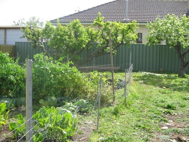 12 Crouch Street North, Mount Gambier SA 5290