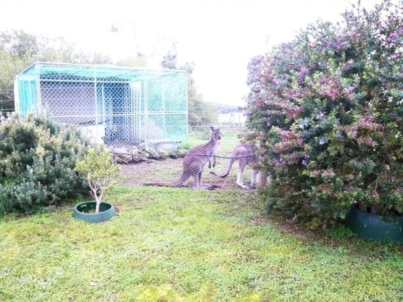 Mount Gambier SA 5290