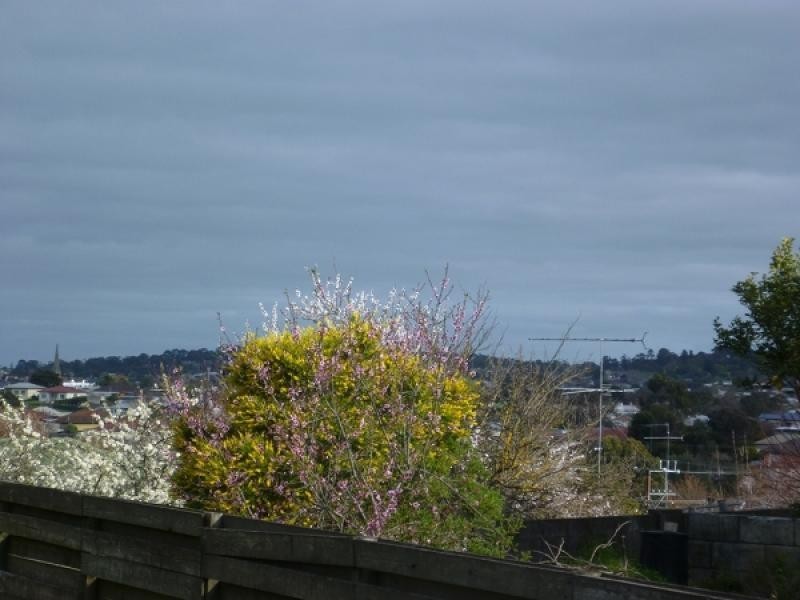 50 Kurrajong Street, Mount Gambier SA 5290