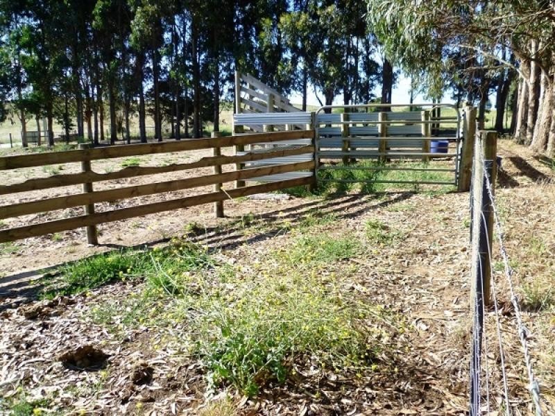 Lot 11 Woodlands Road, Yahl, Mount Gambier SA 5290