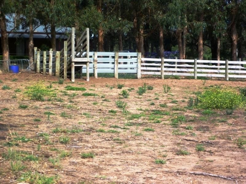 Lot 11 Woodlands Road, Yahl, Mount Gambier SA 5290