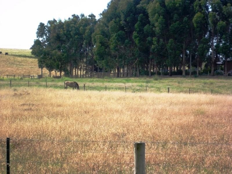 Lot 11 Woodlands Road, Yahl, Mount Gambier SA 5290