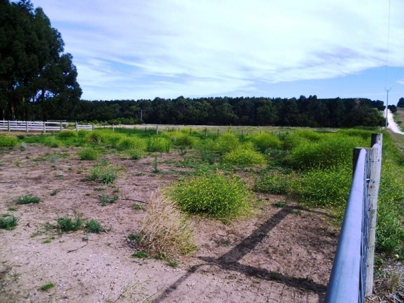 Lot 11 Woodlands Road, Yahl, Mount Gambier SA 5290