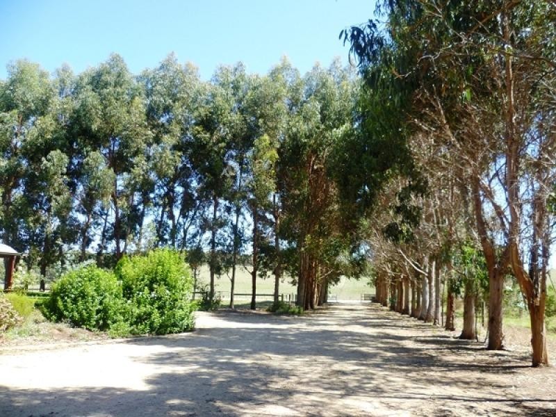 Lot 11 Woodlands Road, Yahl, Mount Gambier SA 5290