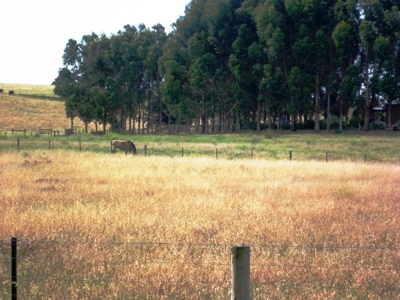 Lot 11 Woodlands Road, Yahl, Mount Gambier SA 5290