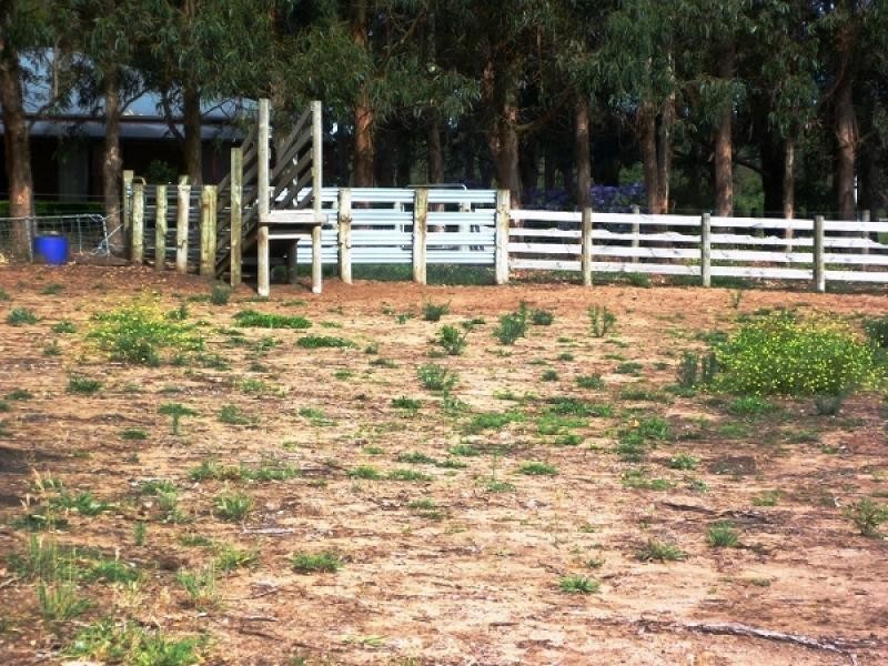 Lot 11 Woodlands Road, Yahl, Mount Gambier SA 5290