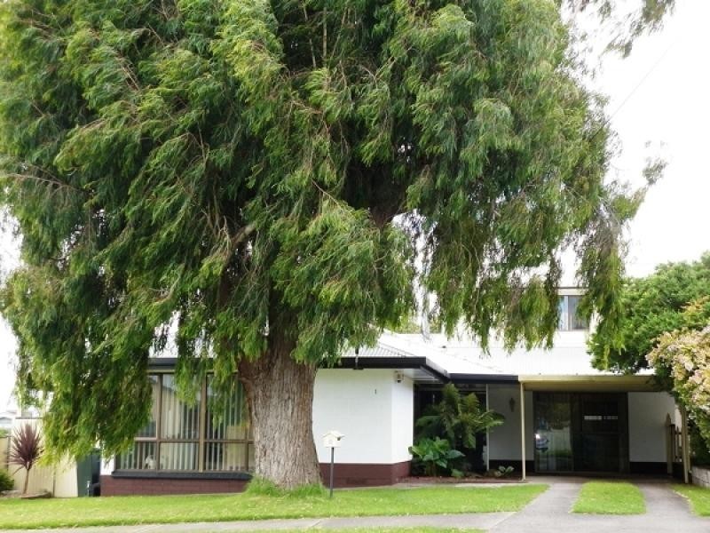 1 Haddy Street, Mount Gambier SA 5290