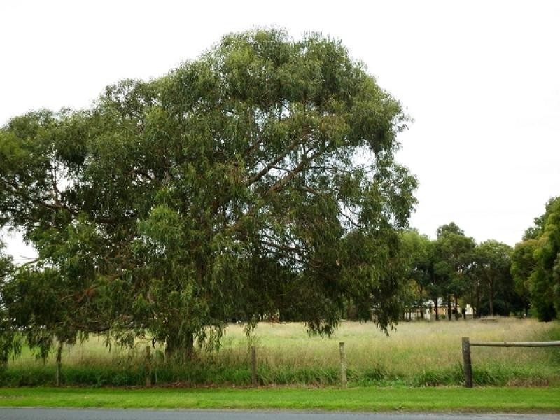 Lot 5 Mingbool Road, Mil Lel, Mount Gambier SA 5290