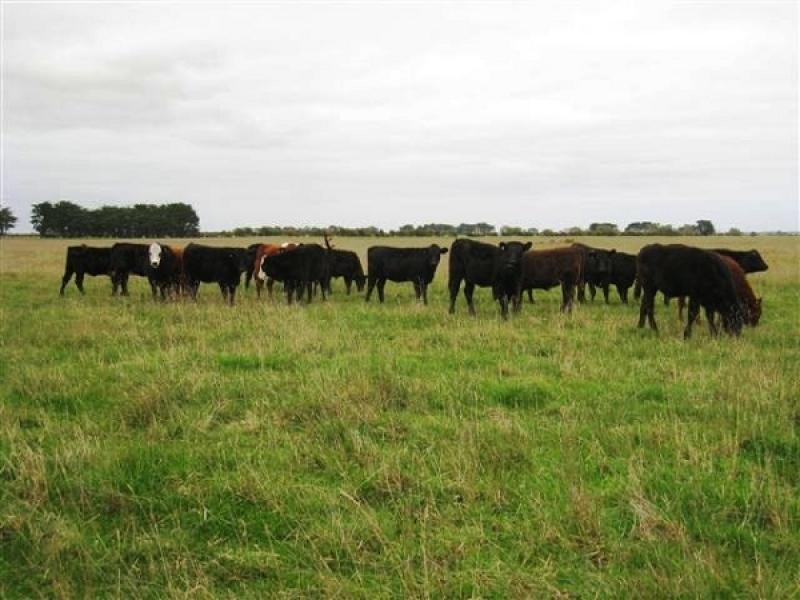 535 Old Boundary Road, Allendale East SA 5291