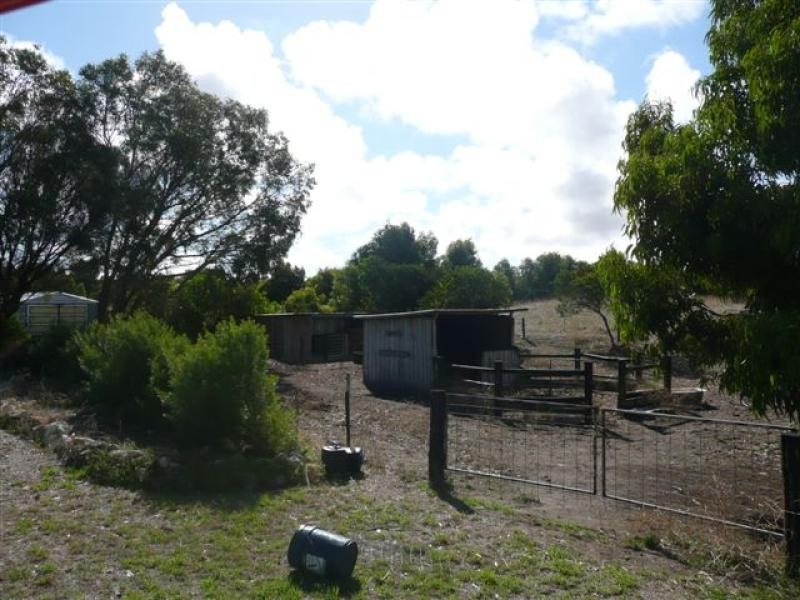 Section 243/ Admella Drive, Beachport SA 5280