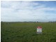 Lot 7 Brennan Court, Millicent SA 5280