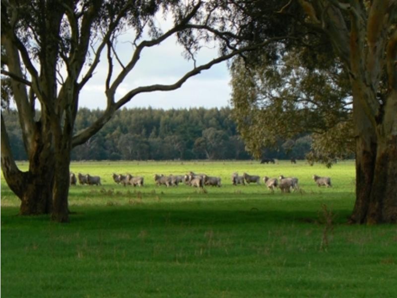 Wattle Range SA 5279