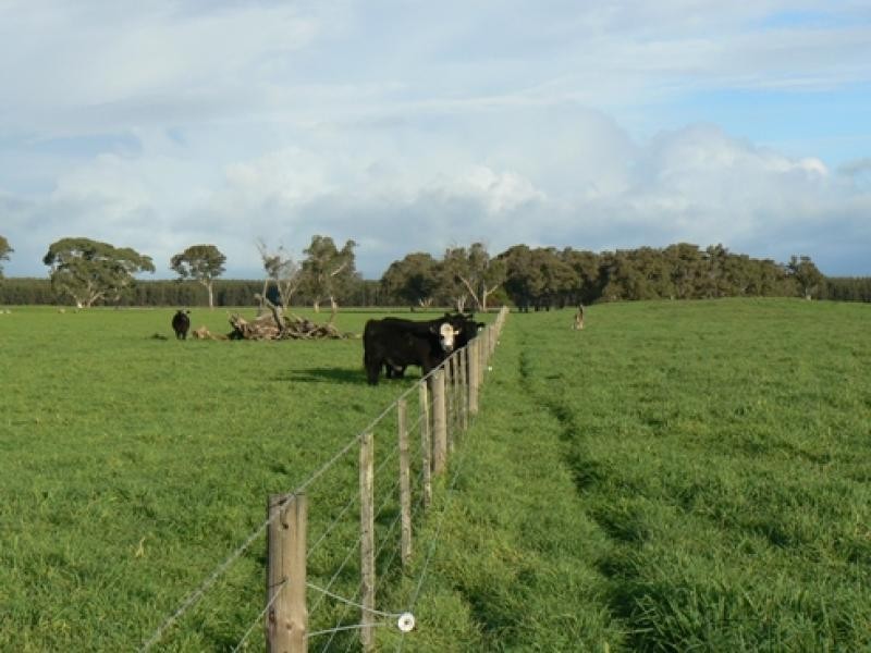 Wattle Range SA 5279