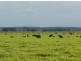 Wattle Range SA 5279