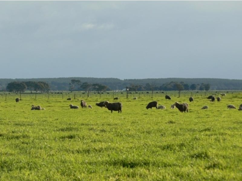 Wattle Range SA 5279