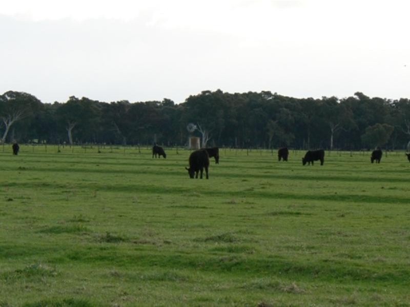 Wattle Range SA 5279