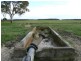 Wattle Range SA 5279