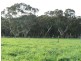 Wattle Range SA 5279