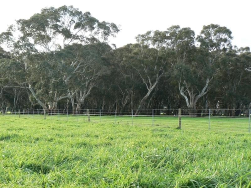 Wattle Range SA 5279