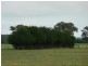 Wattle Range SA 5279
