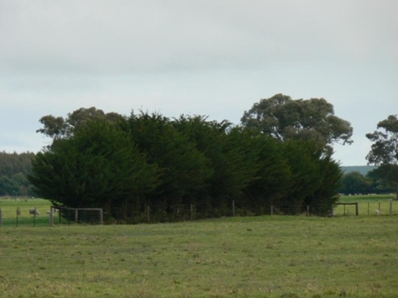Wattle Range SA 5279