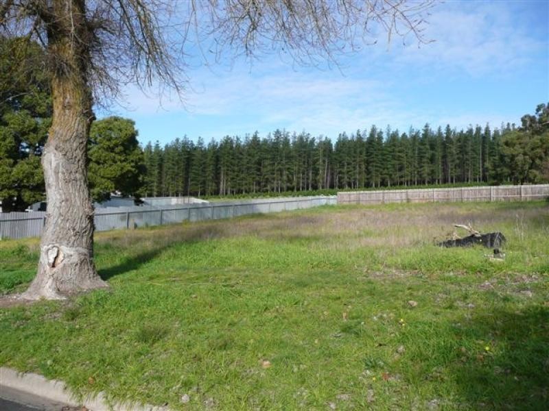 38 Brown Street, Mount Burr SA 5279