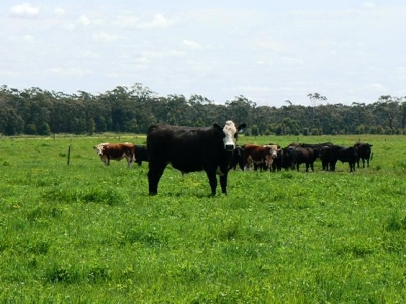 Mingbool SA 5291