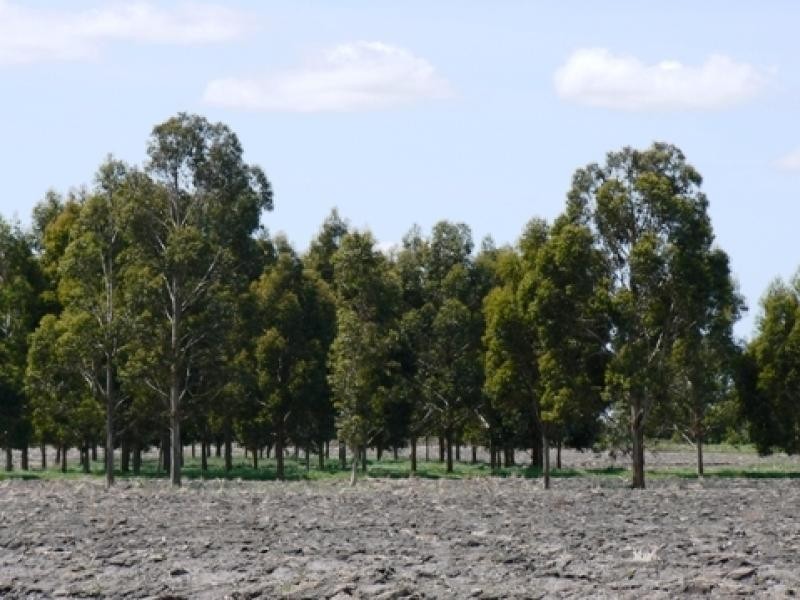 Mingbool SA 5291