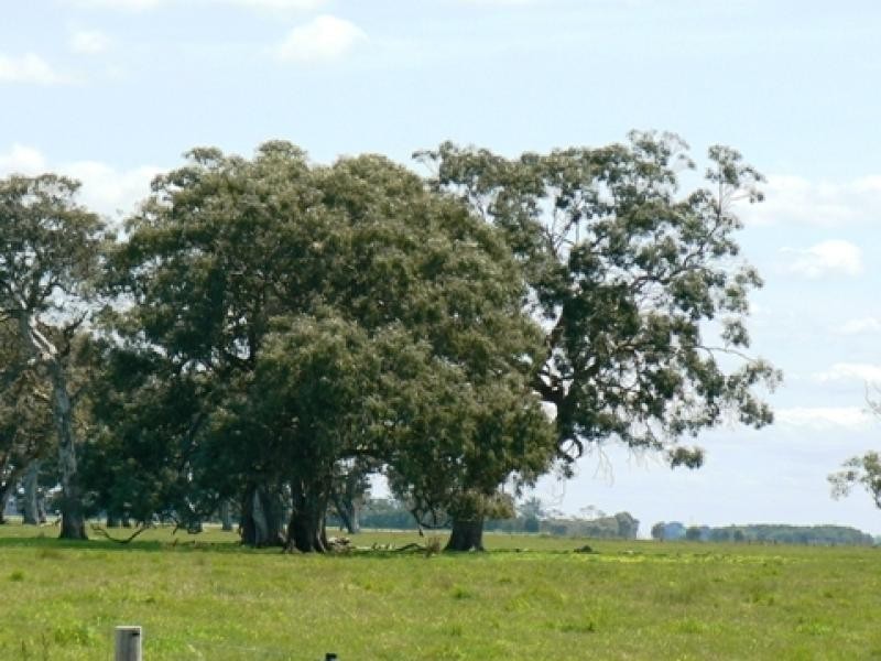 Mingbool SA 5291