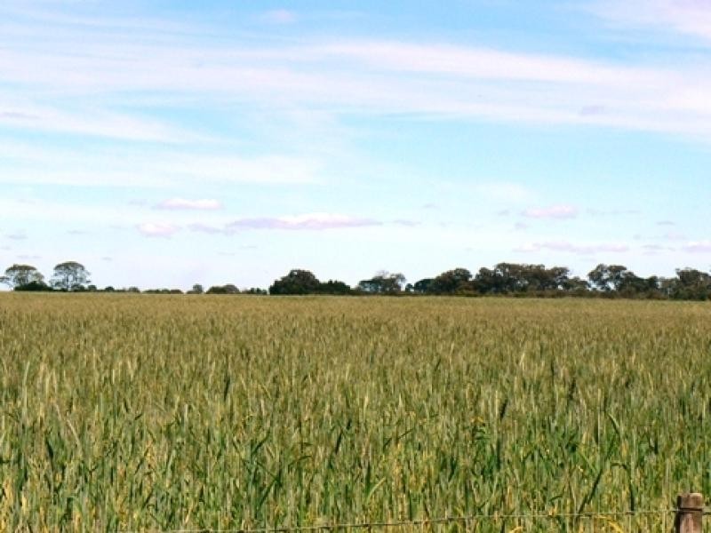 Mingbool SA 5291