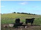 Section 263/ Edwards Road, Millicent SA 5280