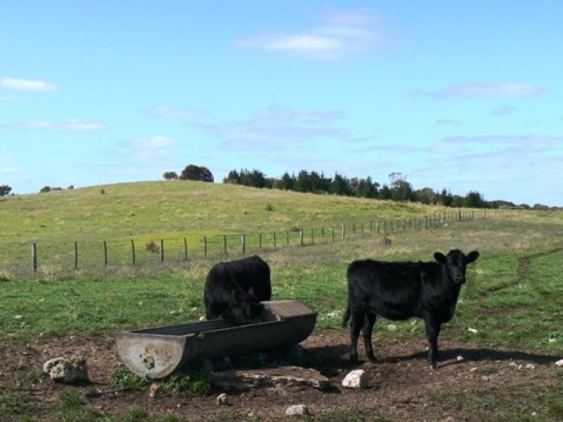 Section 263/ Edwards Road, Millicent SA 5280