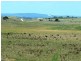 Section 263/ Edwards Road, Millicent SA 5280