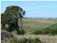 Section 263/ Edwards Road, Millicent SA 5280