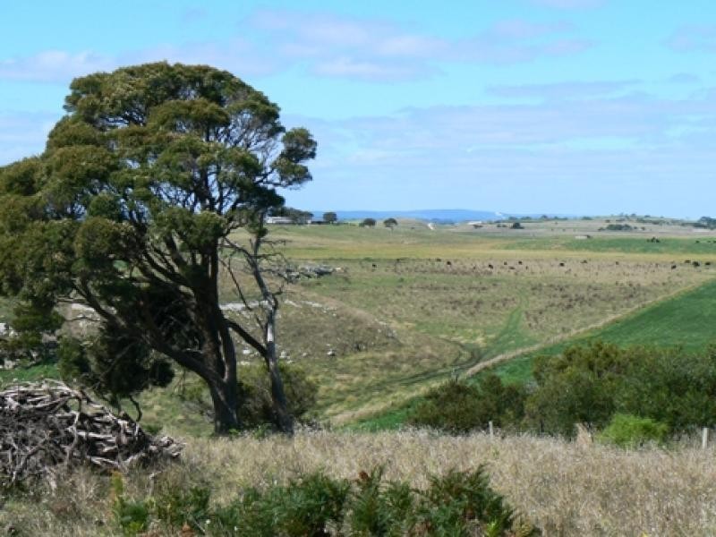 Section 263/ Edwards Road, Millicent SA 5280