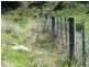 Section 263/ Edwards Road, Millicent SA 5280