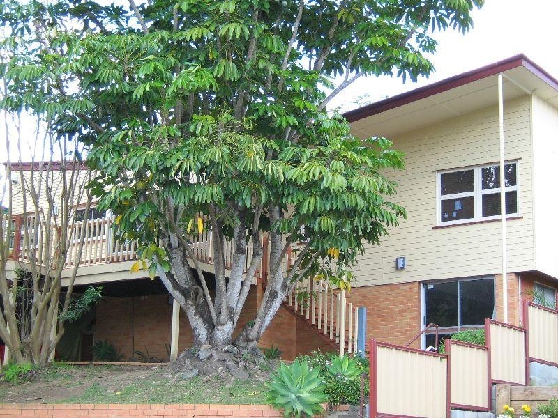 3 Reedan Street, Everton Park QLD 4053