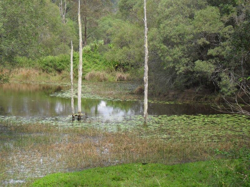 10 McCausland Court, Clear Mountain QLD 4500