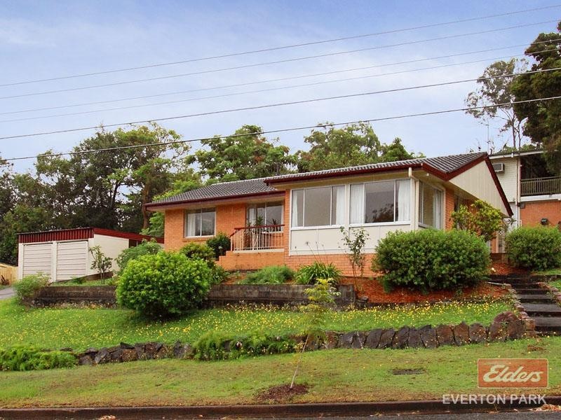 2 Griffin Street, Everton Park QLD 4053