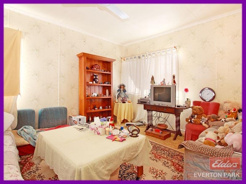 67 Gearside Street, Everton Park QLD 4053