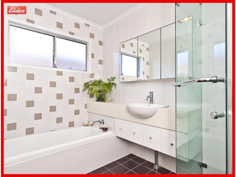 126 Lloyd Street, Alderley QLD 4051